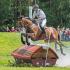 FEI Classicsâ„¢: Andreas Dibowski wins LuhmÃ¼hlen for the second time